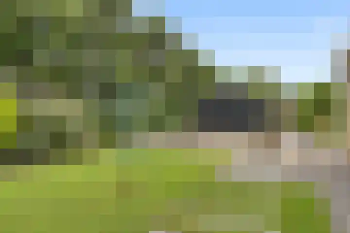 Uranus 20 Hoogezand thumbnail 42