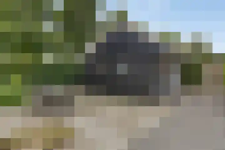 Uranus 20 Hoogezand thumbnail 43