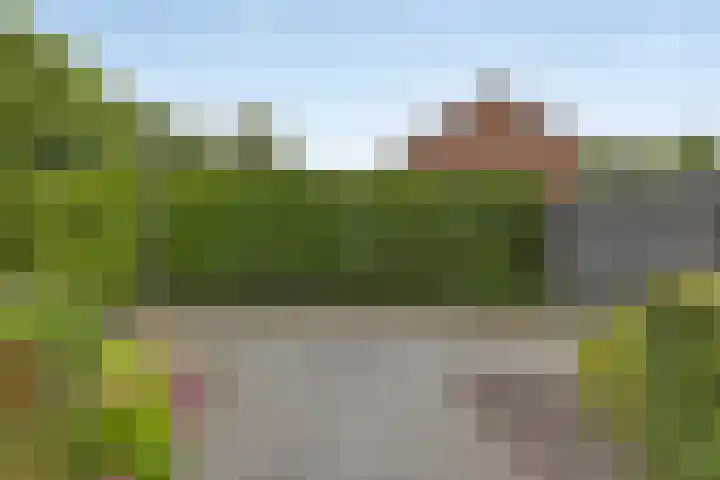 Uranus 20 Hoogezand thumbnail 45