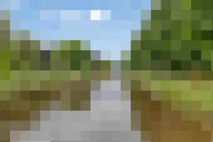 Uranus 20 Hoogezand thumbnail 48