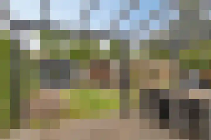 Uranus 26 Hoogezand thumbnail 30