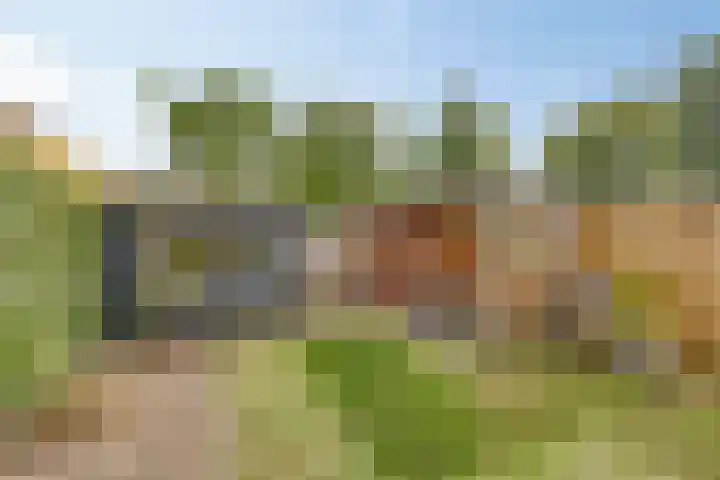 Uranus 26 Hoogezand thumbnail 31