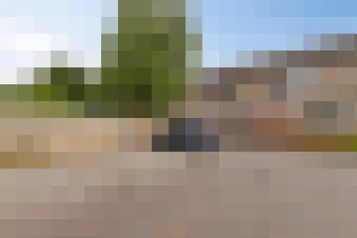 Uranus 26 Hoogezand thumbnail 33