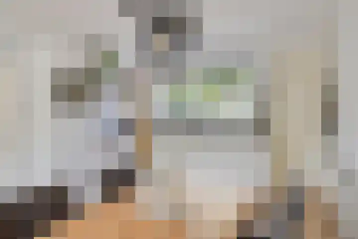 Uranus 5 Hoogezand thumbnail 10