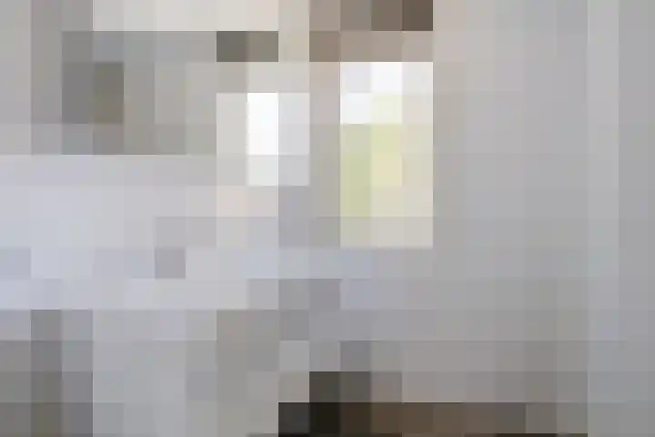 Uranus 5 Hoogezand thumbnail 25