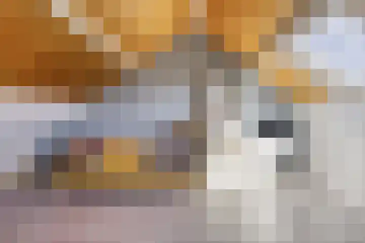 Uranus 5 Hoogezand thumbnail 28