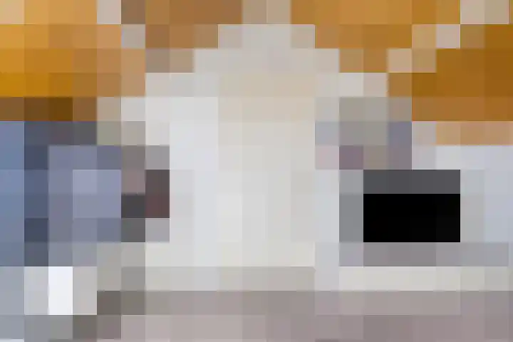 Uranus 5 Hoogezand thumbnail 30