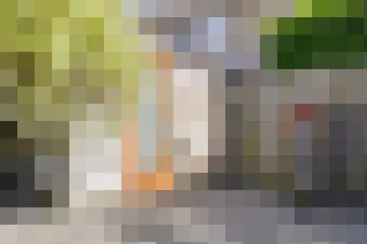 Uranus 5 Hoogezand thumbnail 35