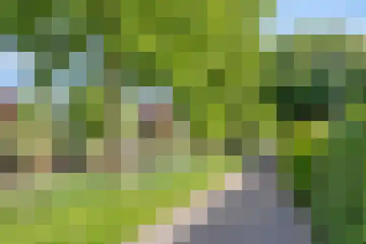 Uranus 5 Hoogezand thumbnail 37