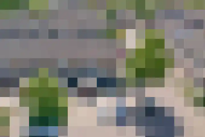 Uranus 5 Hoogezand thumbnail 41
