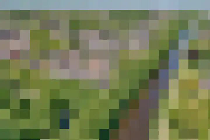 Uranus 5 Hoogezand thumbnail 42