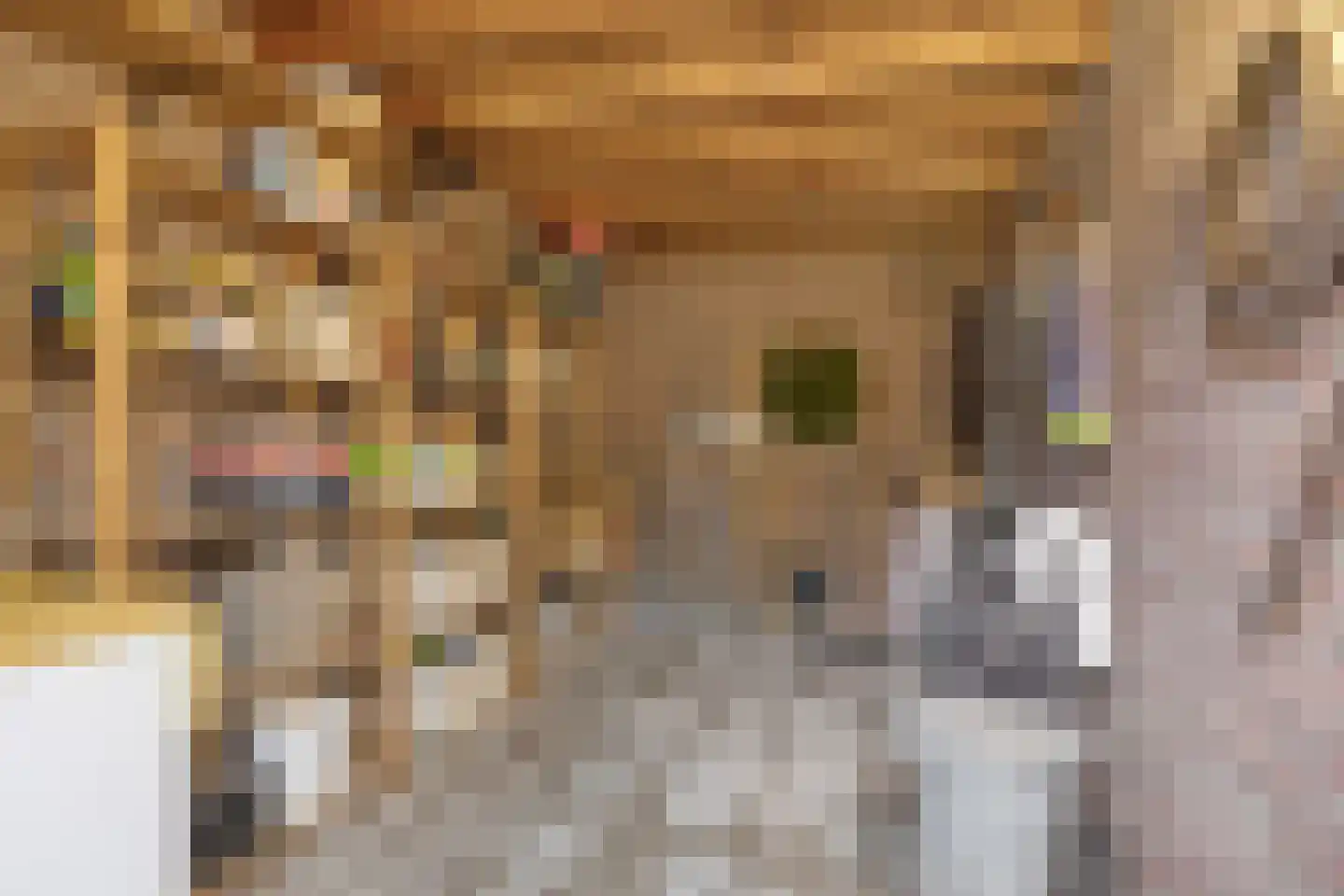 Uranushof 7 Maastricht thumbnail 32