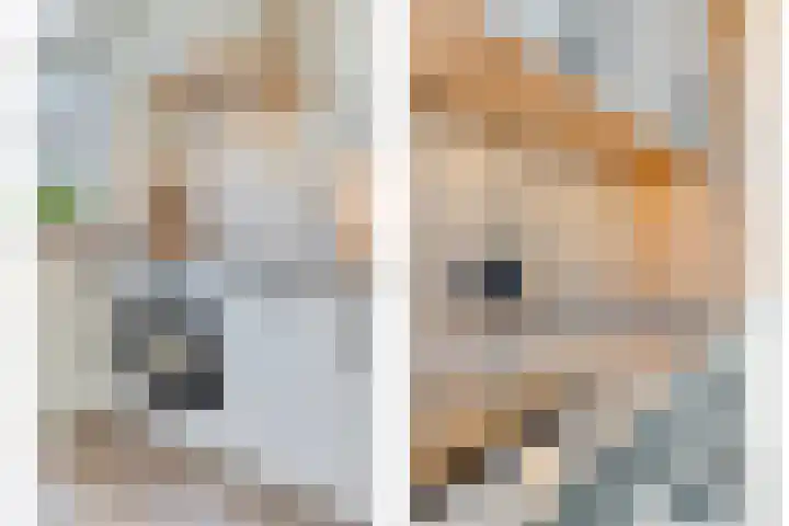 Uranuslaan 14 Hardenberg thumbnail 16