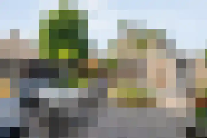 Uranuslaan 14 Hardenberg thumbnail 32