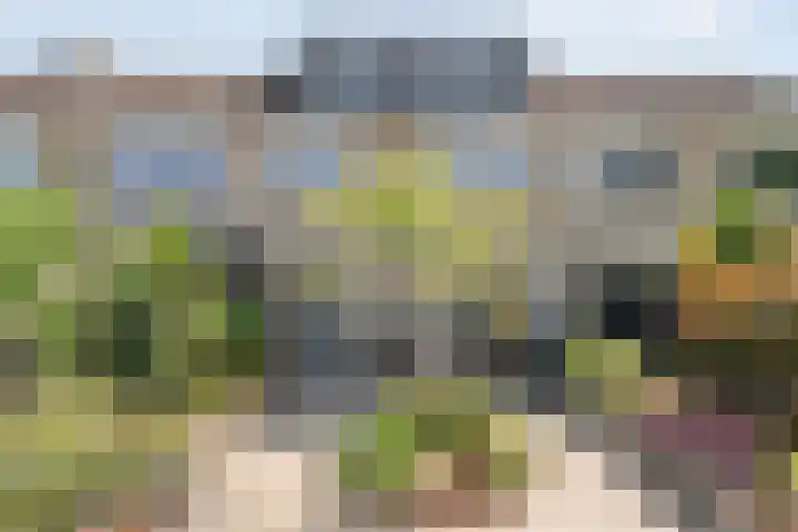 Uranuslaan 14 Hardenberg thumbnail 35