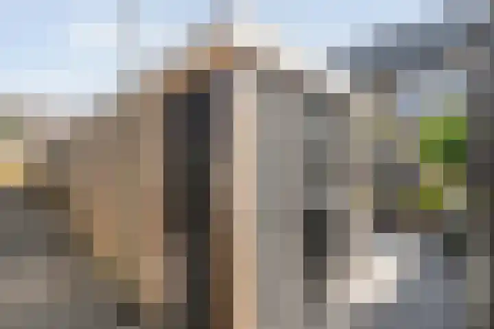 Uranuslaan 14 Hardenberg thumbnail 37