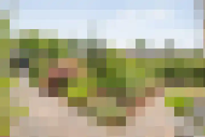 Uranuslaan 14 Hardenberg thumbnail 4