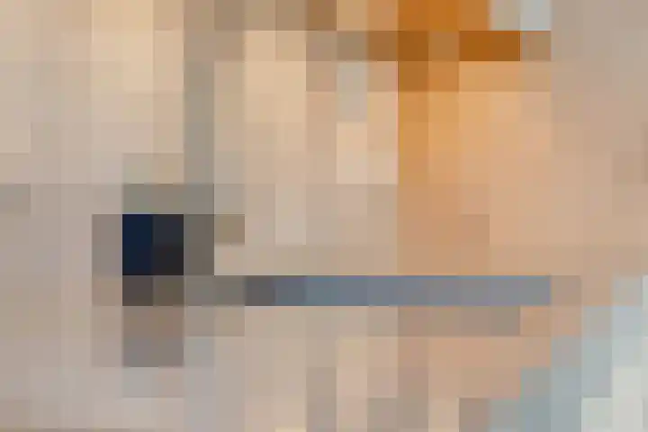 Uranuslaan 14 Hardenberg thumbnail 41