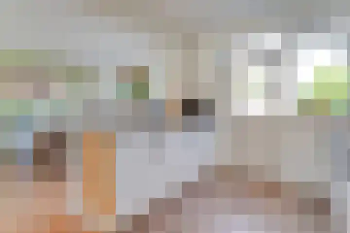 Uranuslaan 14 Hardenberg thumbnail 7