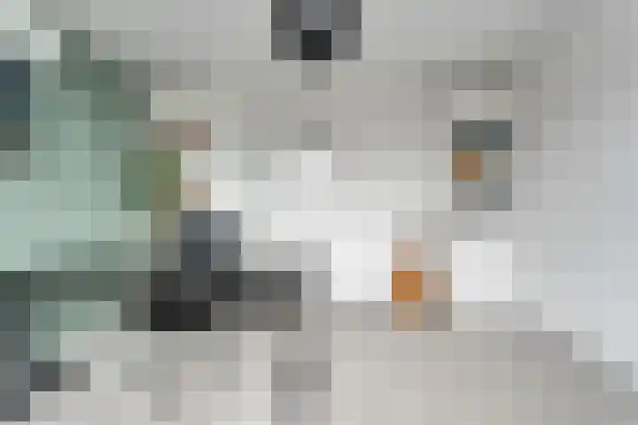 Uranuslaan 16 Hardenberg thumbnail 19
