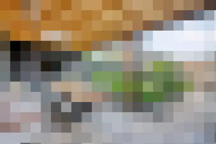 Uranuslaan 16 Hardenberg thumbnail 30