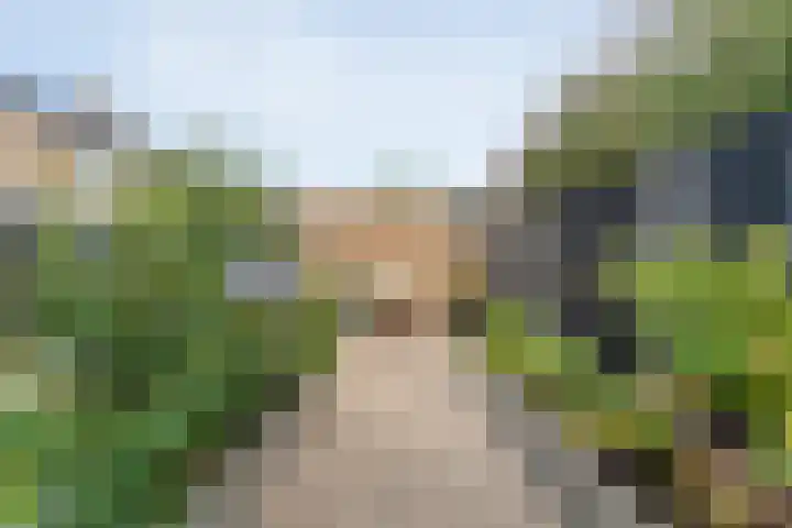 Uranuslaan 16 Hardenberg thumbnail 33