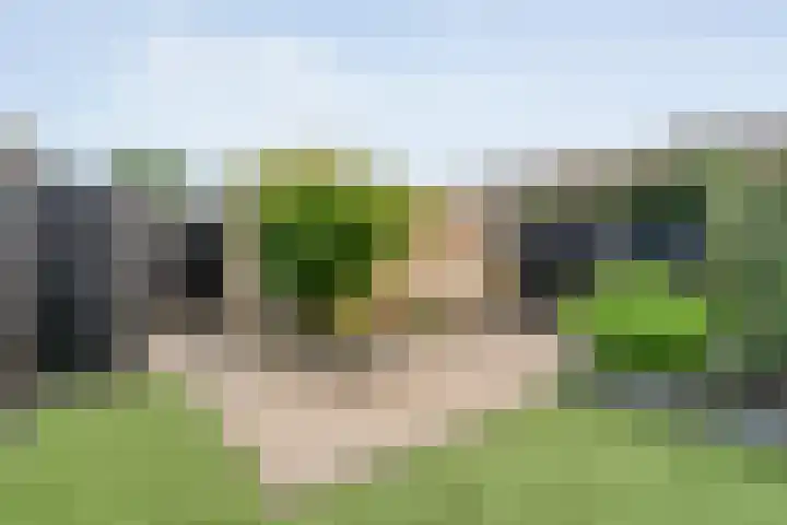 Uranuslaan 16 Hardenberg thumbnail 34