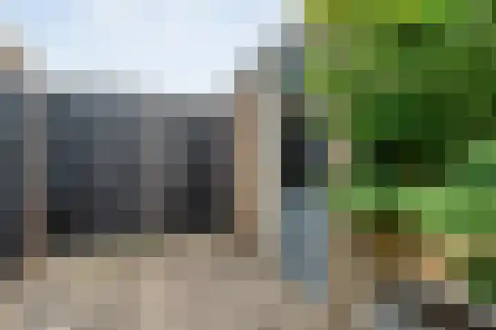 Uranuslaan 16 Hardenberg thumbnail 36