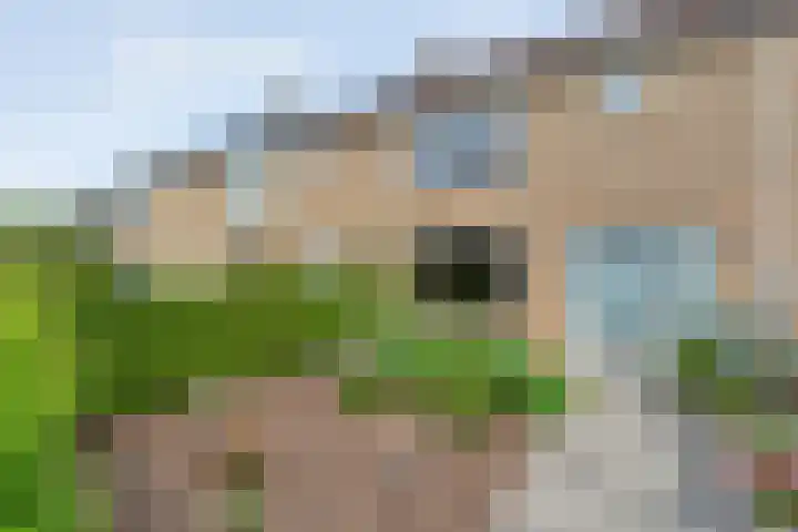 Uranuslaan 16 Hardenberg thumbnail 39