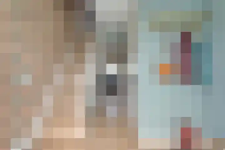 Uranuslaan 16 Hardenberg thumbnail 4