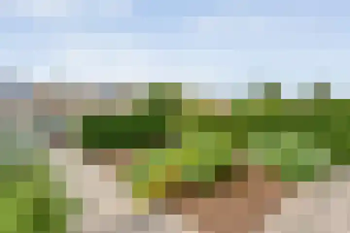Uranuslaan 16 Hardenberg thumbnail 40
