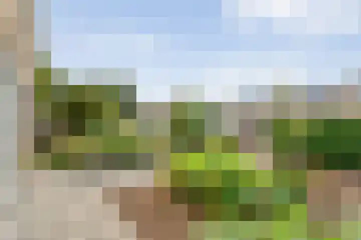 Uranuslaan 16 Hardenberg thumbnail 41