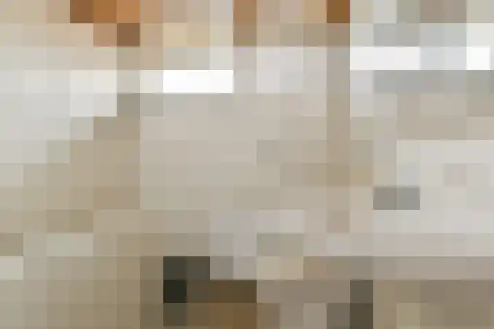 Uranuslaan 18 Dordrecht thumbnail 12