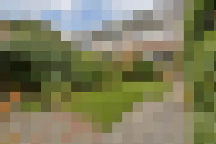 Uranuslaan 18 Dordrecht thumbnail 21