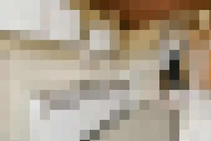 Uranuslaan 18 Dordrecht thumbnail 9