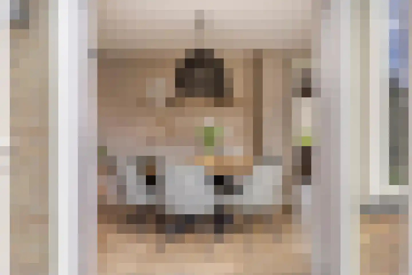 Uranuslaan 19 Hardenberg thumbnail 36