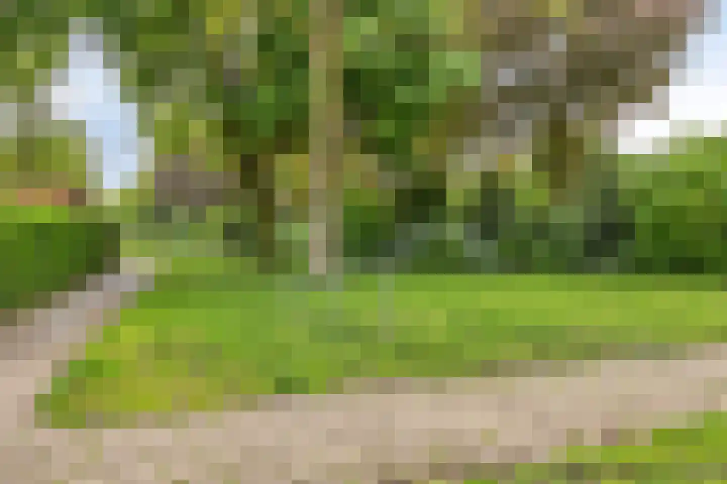 Uranuslaan 19 Hardenberg thumbnail 45