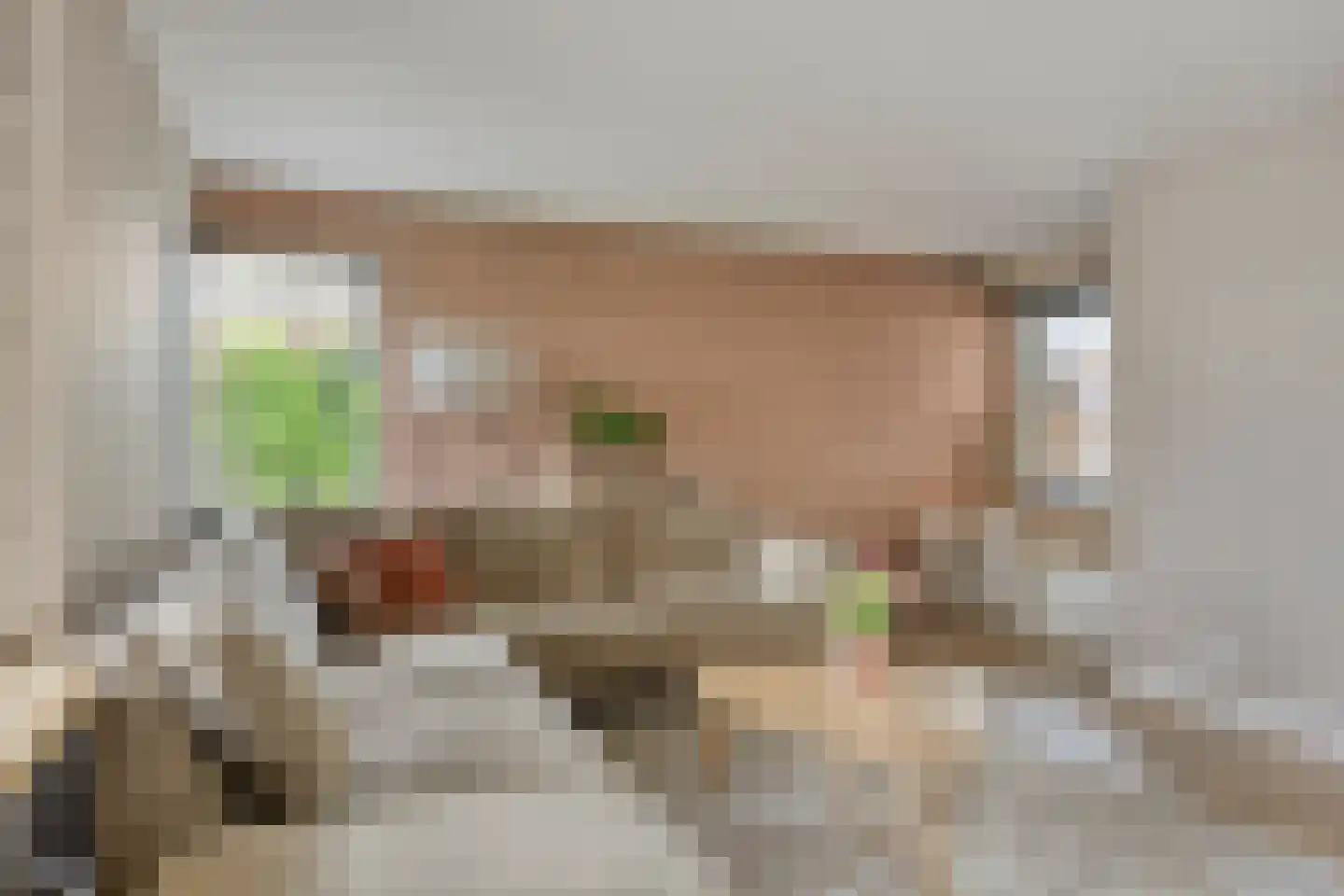 Uranuslaan 19 Hardenberg thumbnail 6