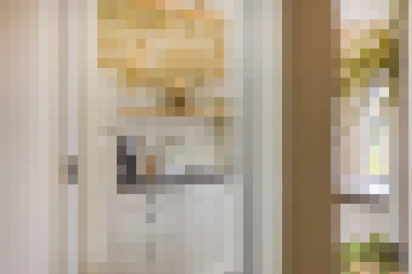 Uranuslaan 19 Hardenberg thumbnail 7