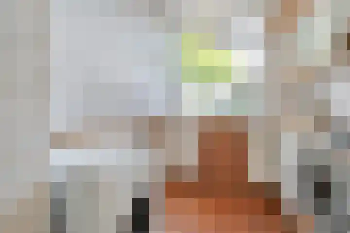 Uranuslaan 21 Hardenberg thumbnail 12