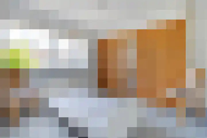 Uranuslaan 21 Hardenberg thumbnail 15