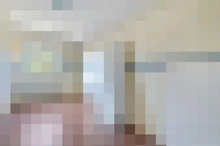 Uranuslaan 21 Hardenberg thumbnail 17