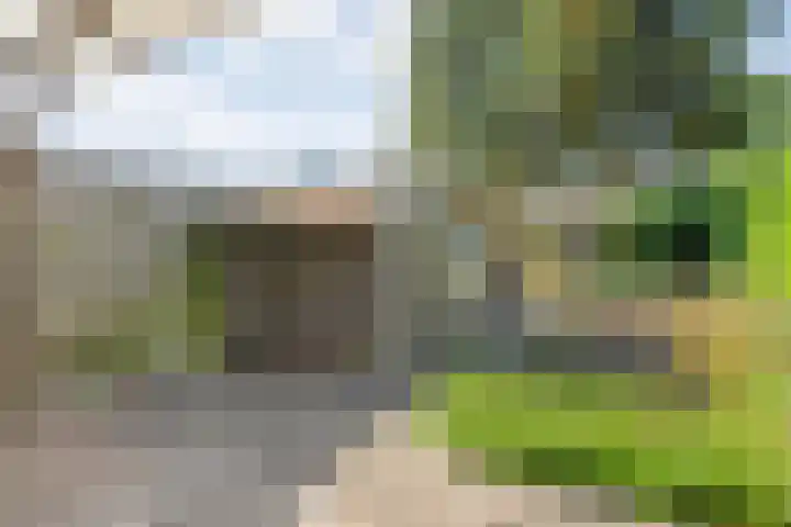 Uranuslaan 21 Hardenberg thumbnail 21