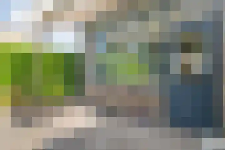 Uranuslaan 21 Hardenberg thumbnail 22