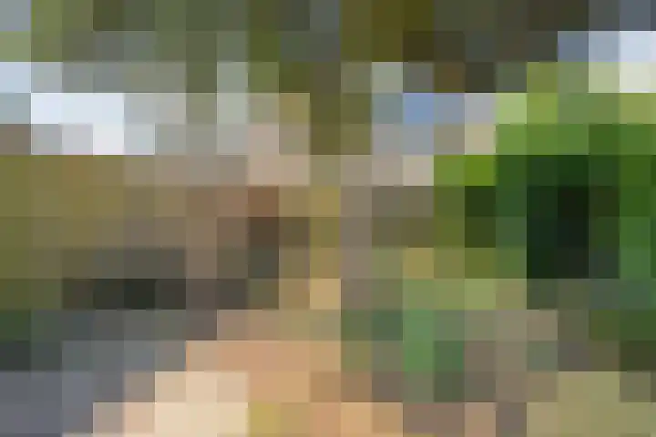 Uranuslaan 21 Hardenberg thumbnail 23