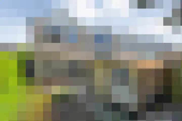 Uranuslaan 21 Hardenberg thumbnail 24