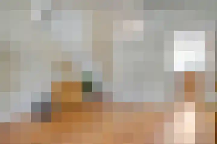 Uranuslaan 21 Hardenberg thumbnail 8