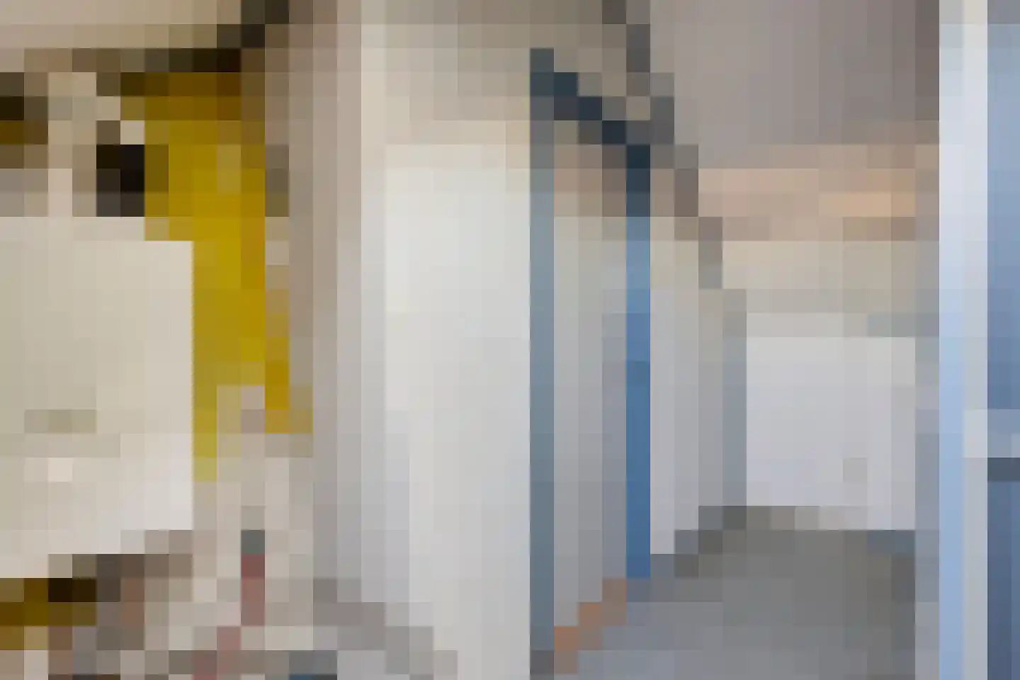 Uranuslaan 4 Heerhugowaard thumbnail 41