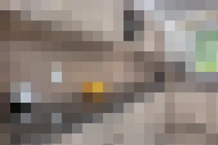 Uranusstraat 10 Hengelo thumbnail 17