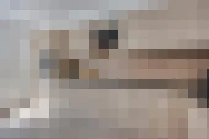 Uranusstraat 10 Hengelo thumbnail 18